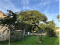 Photo numero 46830524 du bien UBI465413609